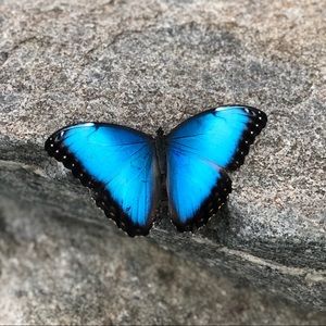 Meet your Posher, Carly